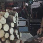 Yuca