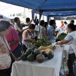 alimentos