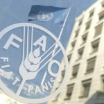FAO Buildings