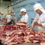 Carne brasil
