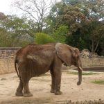 IMG_20170326_123644
