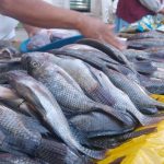 Pesca