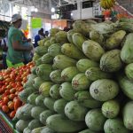 Vegetales1
