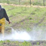 Uso de agroqueimicos_Paco