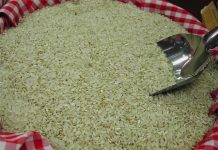 Fedeagro denuncia que las importaciones masivas de arroz socavan la producción nacional Arroz - Fedeagro