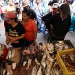 feria del pescado