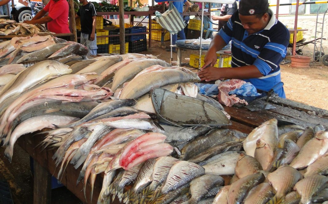 Pescado2