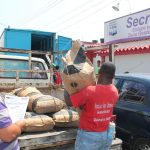 harina zulia