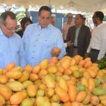 Mangos República Dominicana