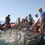 Pesca
