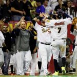 LVBP Leones del Caracas