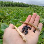 fedeagro