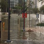 Irma-Miami