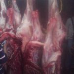 carne canal22