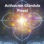 glandula