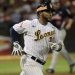 Leones camisa HC 2