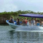 morrocoy