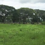 Finca Barinas
