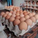 huevos 3