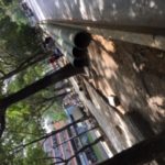 fIMG_1586