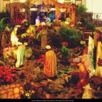 pesebre