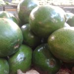 Aguacates
