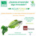 ACUAPONIA1