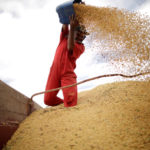 FOTO DE ARCHIVO: Un trabajador inspecciona la soja durante la cosecha cerca de la ciudad de Campos Lindos, Brasil