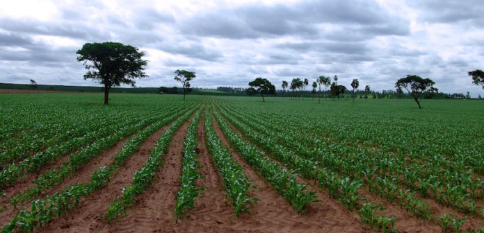 agricultura en Venezuela