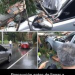 Foto-Caricuao
