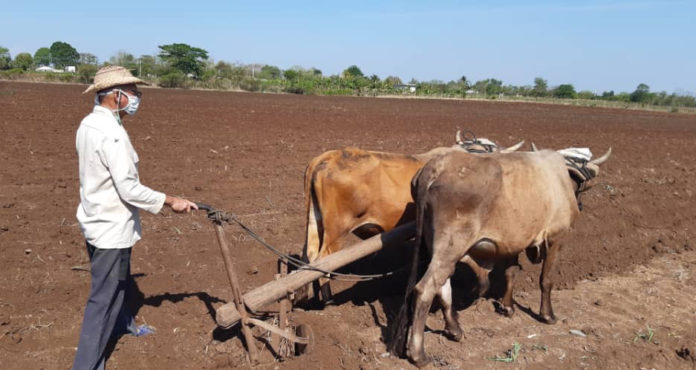 Fedeagro: 