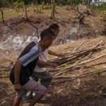 Indiscriminate logging to meet the gas and electricity shortage in Venezuela