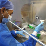 Este es el instructivo para solicitar la prueba PCR que necesitan los viajeros