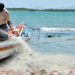 Pescaa33.jpg