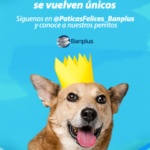 Screenshot_20210527-102355.png
