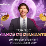 Remi_TournamentOfDiamond_VN_CoverArt.jpg