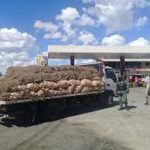 Foto colas en gasolineras