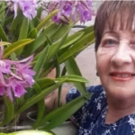 Screenshot 2021-10-14 at 17-11-14 Ayudemos a mi Mamá Elia con su Tratamiento Médico, organizada por Peggy Chivico