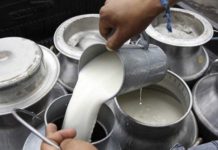 Yaracuy reunirá a productores e investigadores en el tercer Congreso Lácteo 2026