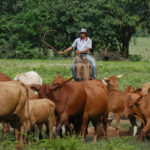 foto inseguridad en el campo