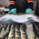 pescaderia