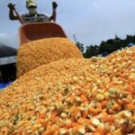 Maiz-Venezuela-400×267.jpg