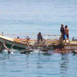 francisco-javier-velasquez-VENEZUELA-Para-pescadores-de-Manzanillo-la-sardina-es-una-bendici-n.jpg