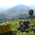 2020-04-24T132639Z_1681644001_RC21BG9R0AOY_RTRMADP_3_HEALTH-CORONAVIRUS-VENEZUELA-CROPS.jpg