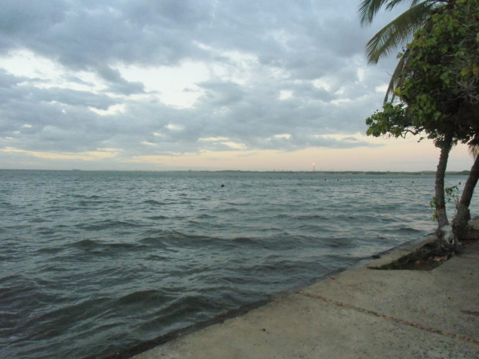 Productores agropecuarios de Sur del Lago de Maracaibo tienen 10 meses inundados