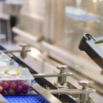 importancia-de-las-envasadoras-en-la-industria-alimentaria