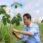 Alcaldía de El Hatillo – Segunda fase Plan Arborización_Foto 1