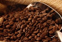 Caficultores piden prohibir la importación de café para proteger el mercado nacional Café