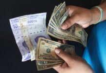 Tasas en plataformas P2P digitales superan la barrera de los Bs. 800 dolares - tipo de cambio - BCV - tasas