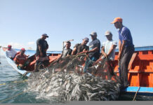 La producción pesquera en el estado Nueva Esparta registra un incremento del 47% este año Pesca